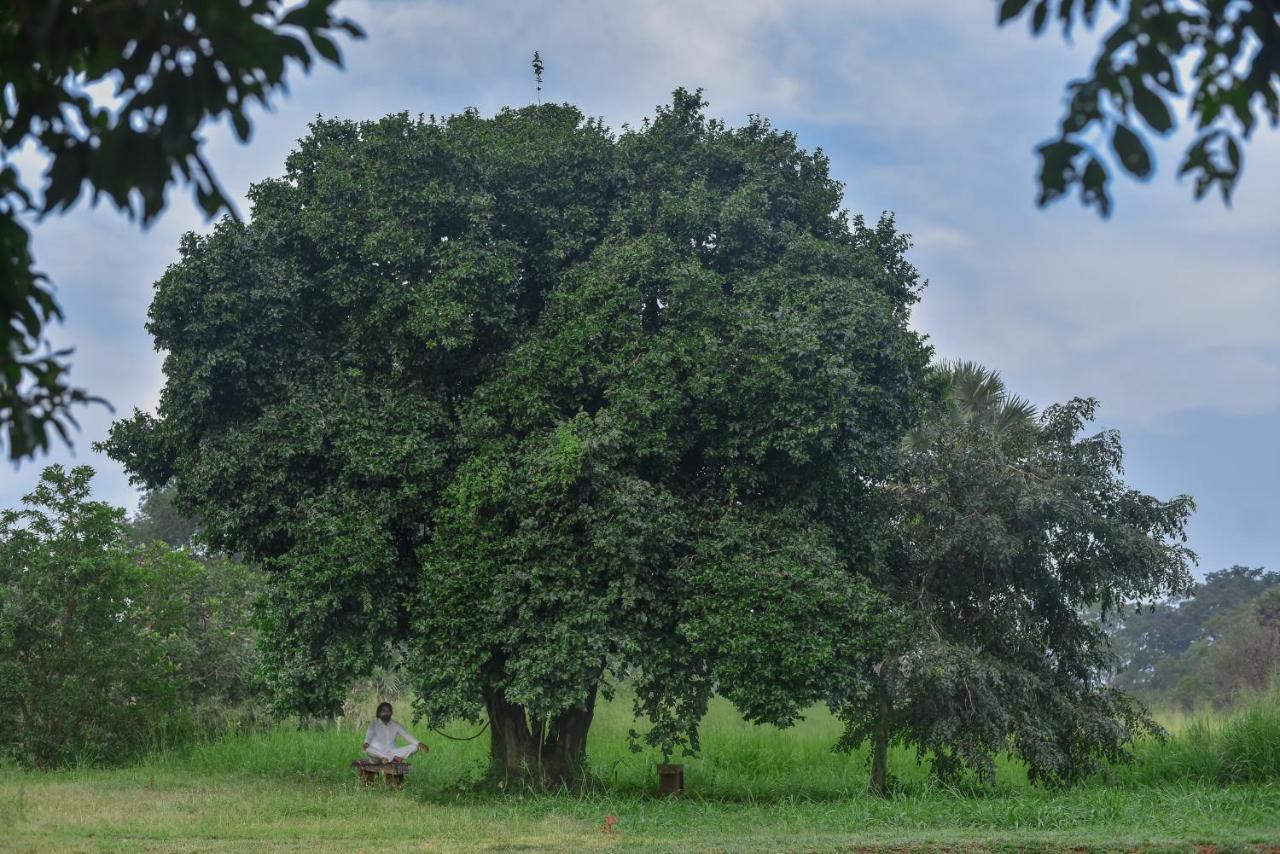 Subaseth Villa Anuradhapura Buitenkant foto