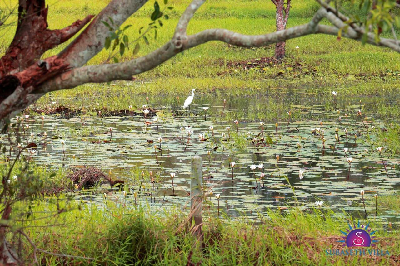 Subaseth Villa Anuradhapura Buitenkant foto